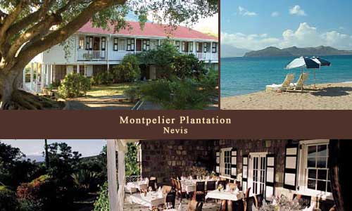 Montpelier Plantation, Nevis
